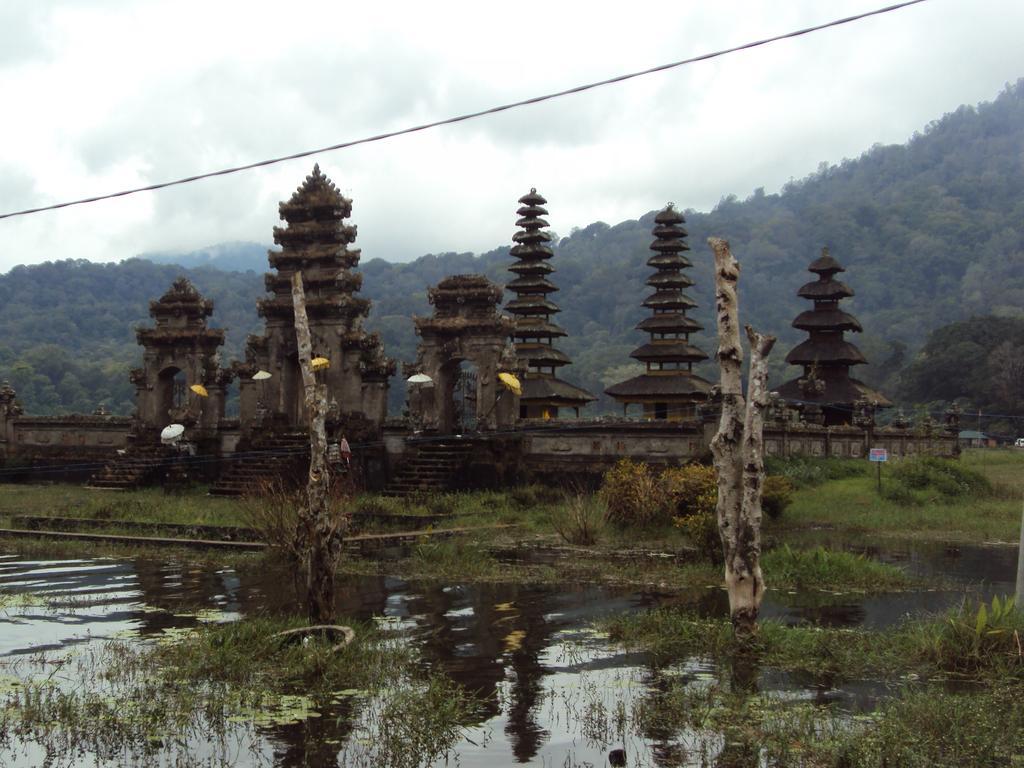 Made Homestay Munduk Exterior foto