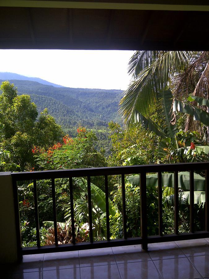 Made Homestay Munduk Exterior foto